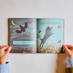 Day and Night