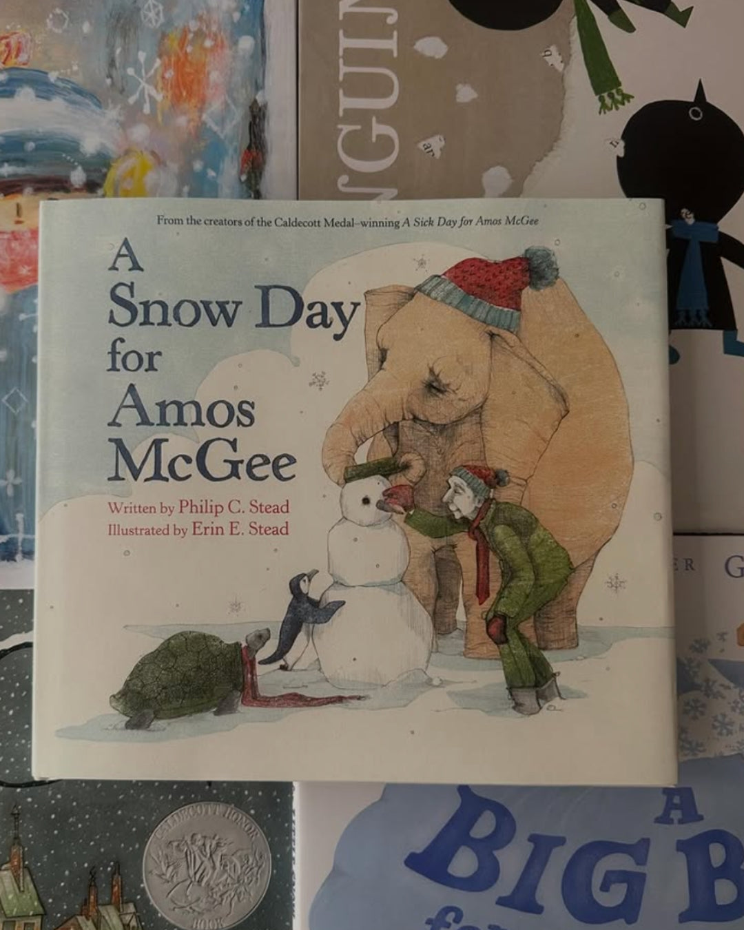 A Snow Day for Amos McGee