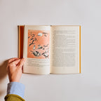 Alice's Adventures in Wonderland: Tove Jansson Edition
