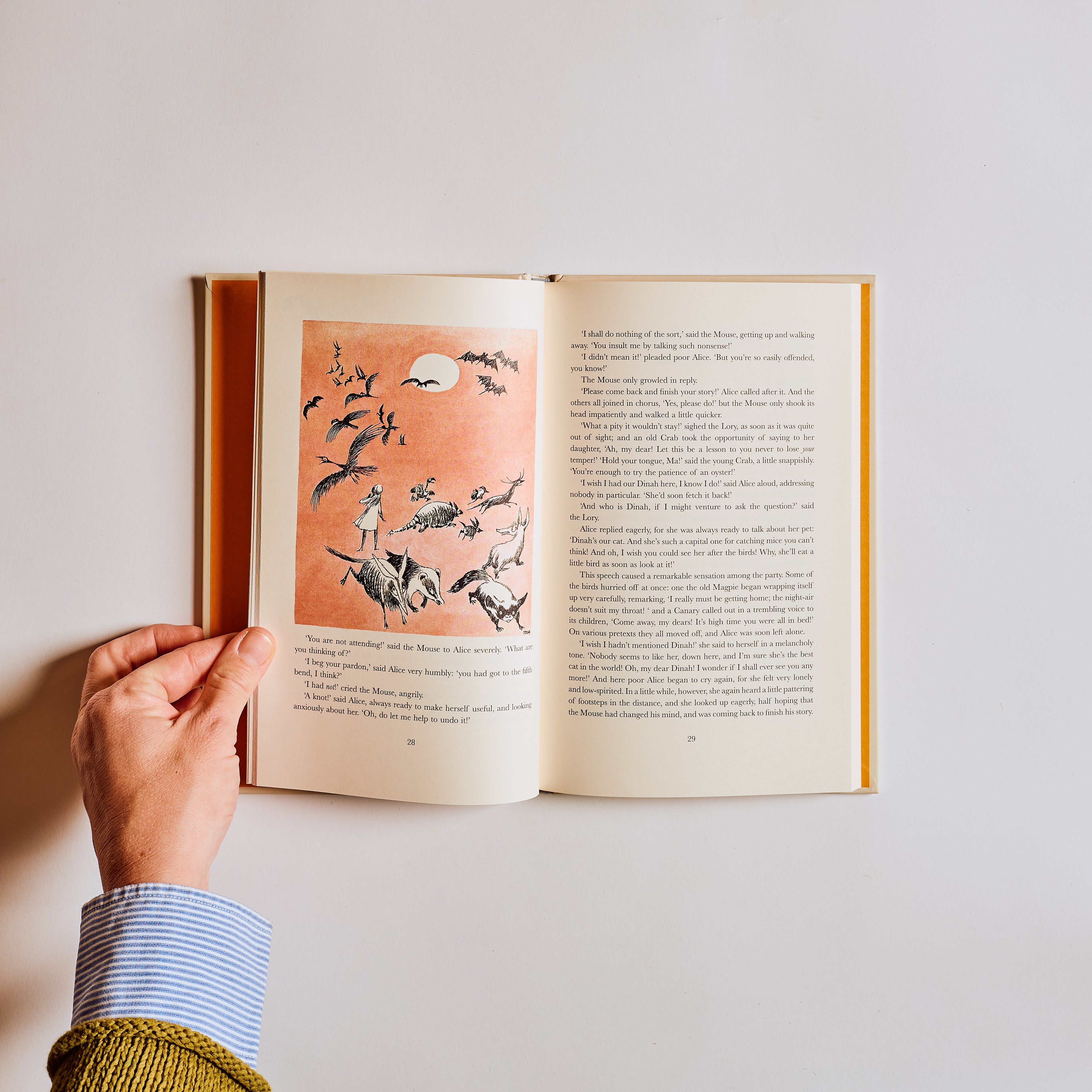 Alice's Adventures in Wonderland: Tove Jansson Edition