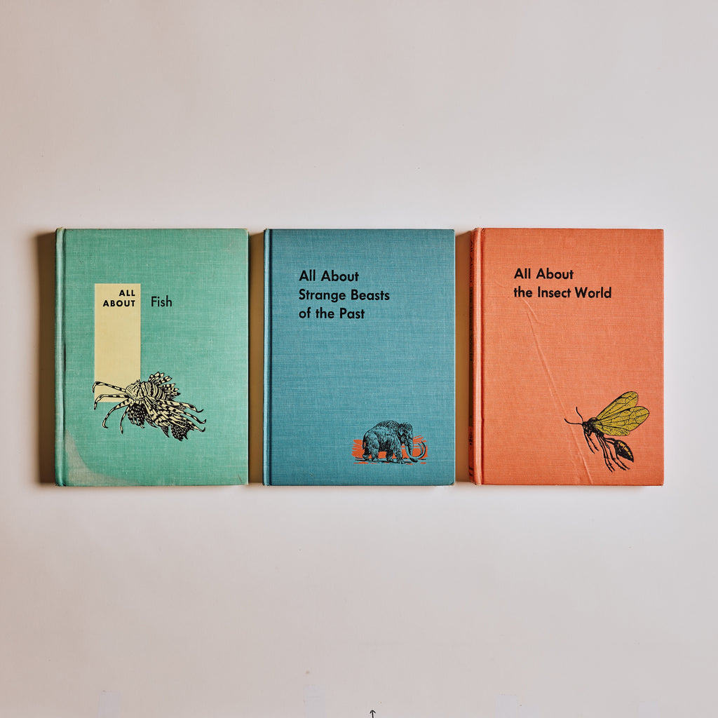 All About Fish, Insects of the World, Strange Beasts of the Past (Set of 3)
