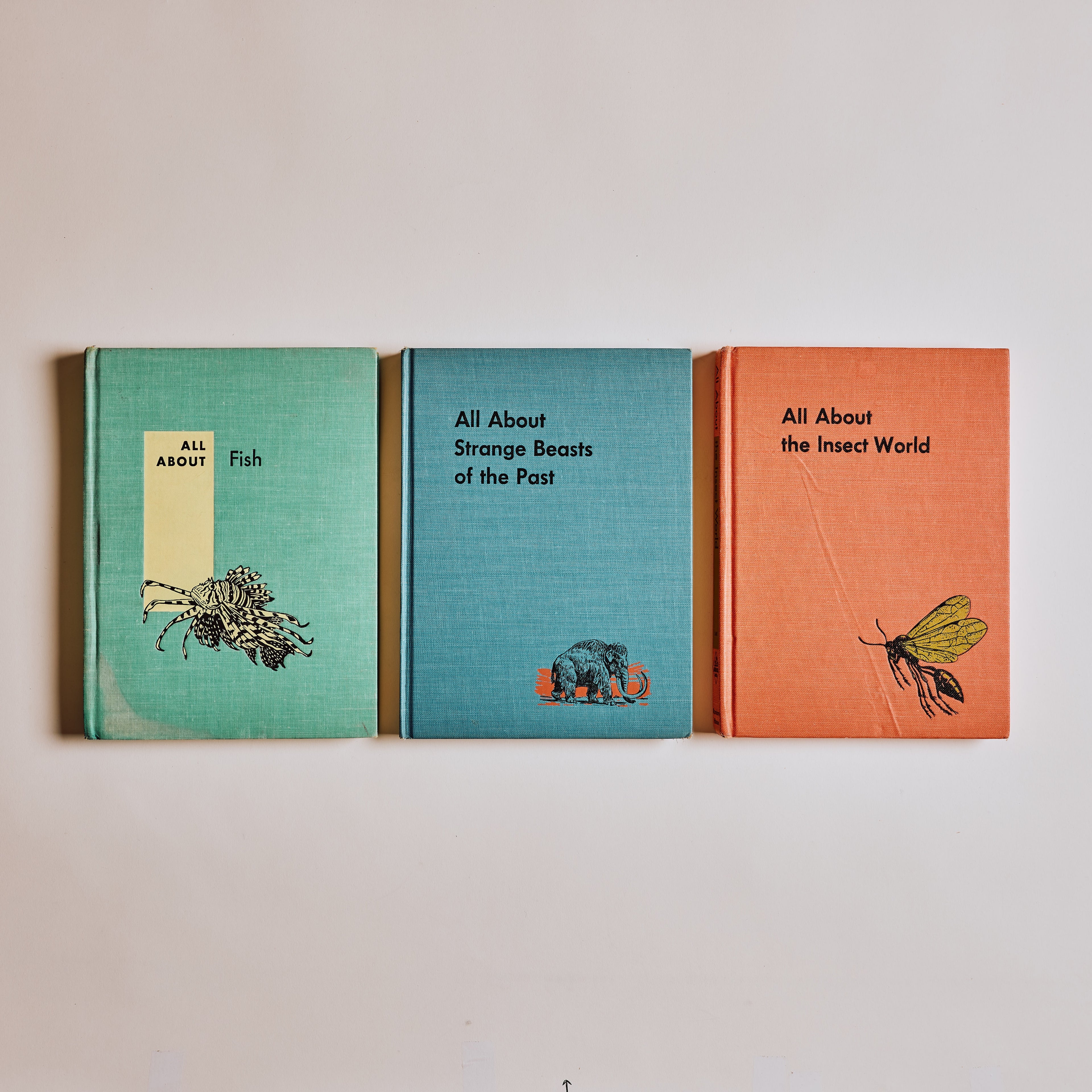 All About Fish, Insects of the World, Strange Beasts of the Past (Set of 3)