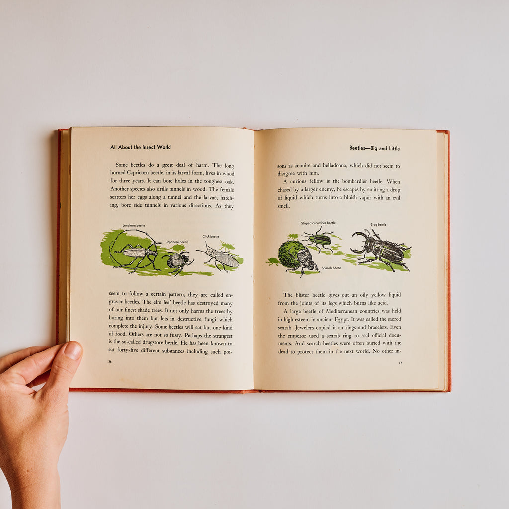 All About Fish, Insects of the World, Strange Beasts of the Past (Set of 3)