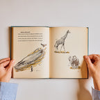 All About Fish, Insects of the World, Strange Beasts of the Past (Set of 3)