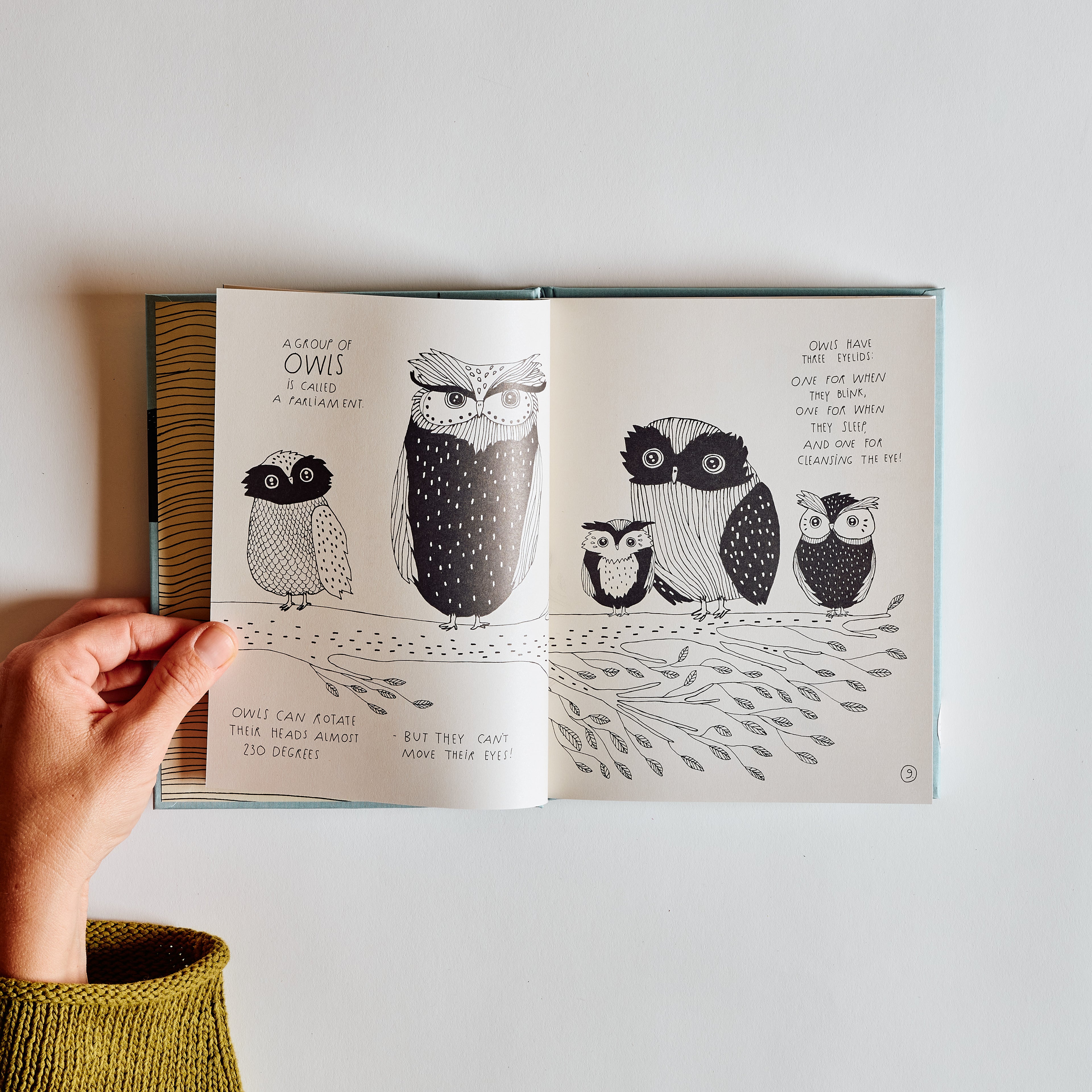 The Illustrated Compendium of Amazing Animal Facts