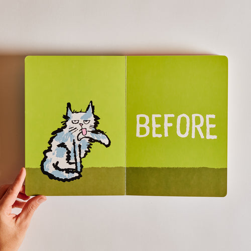 Before & After