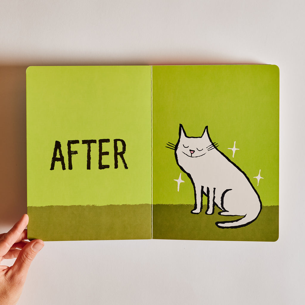 Before & After
