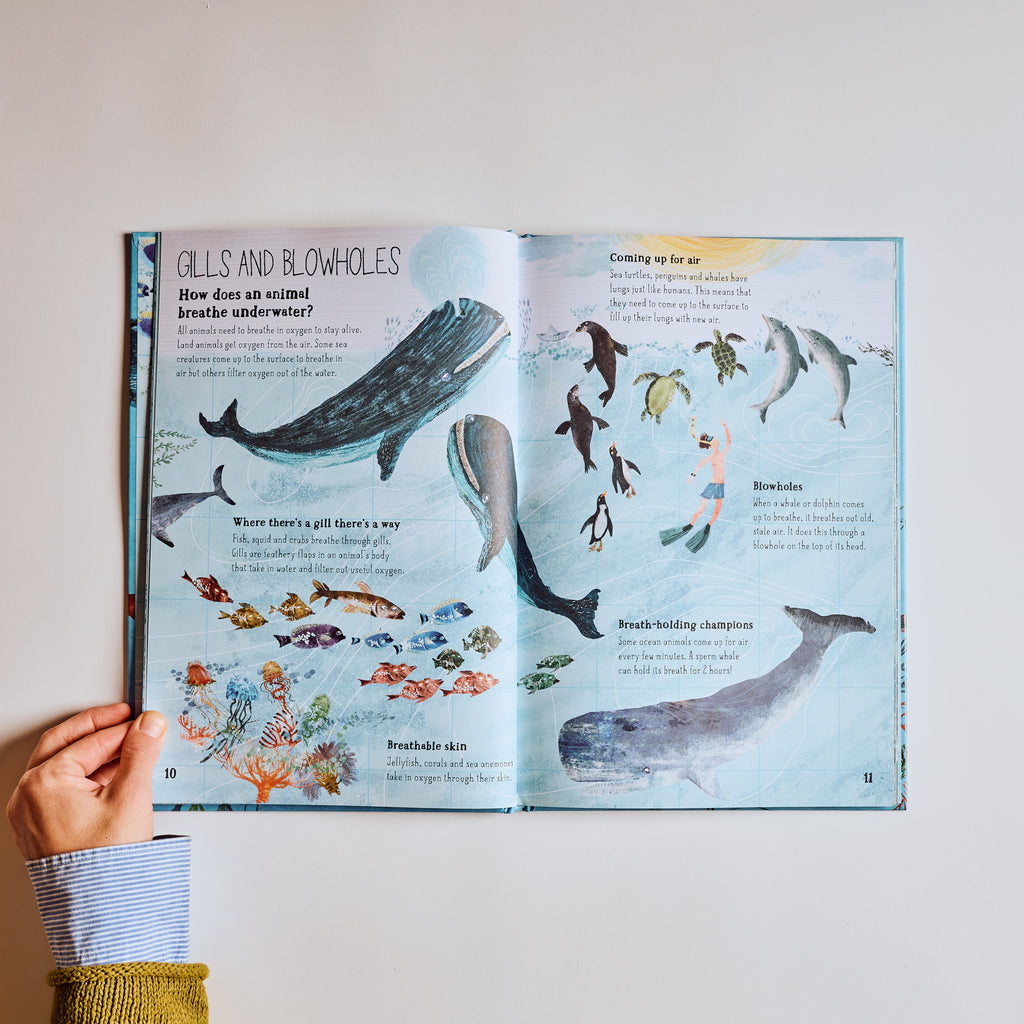 The Big Book of The Blue