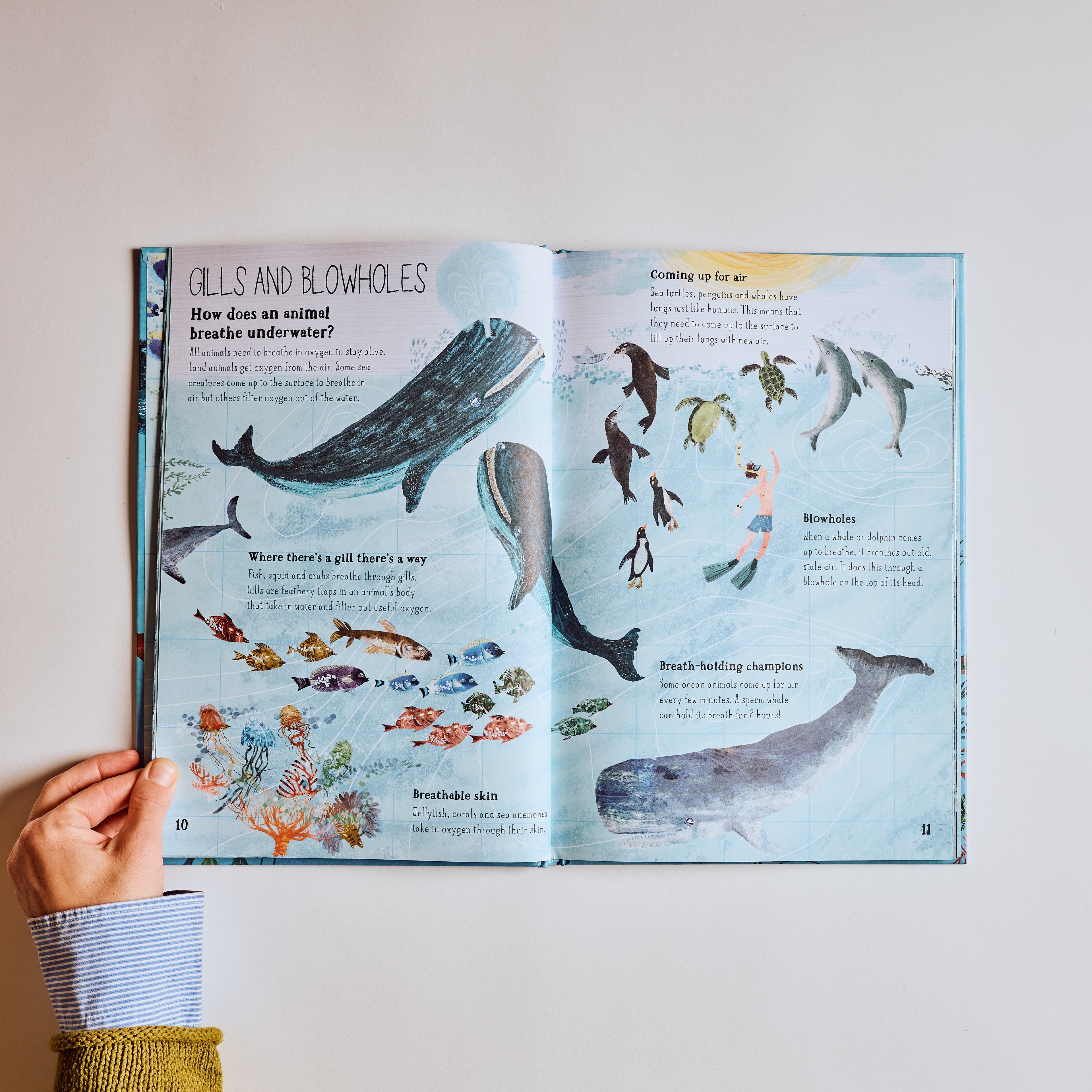 The Big Book of The Blue