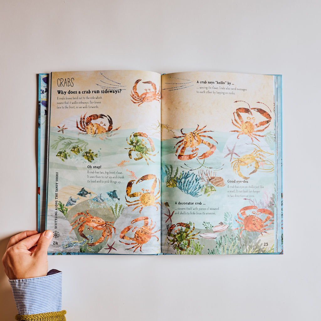The Big Book of The Blue