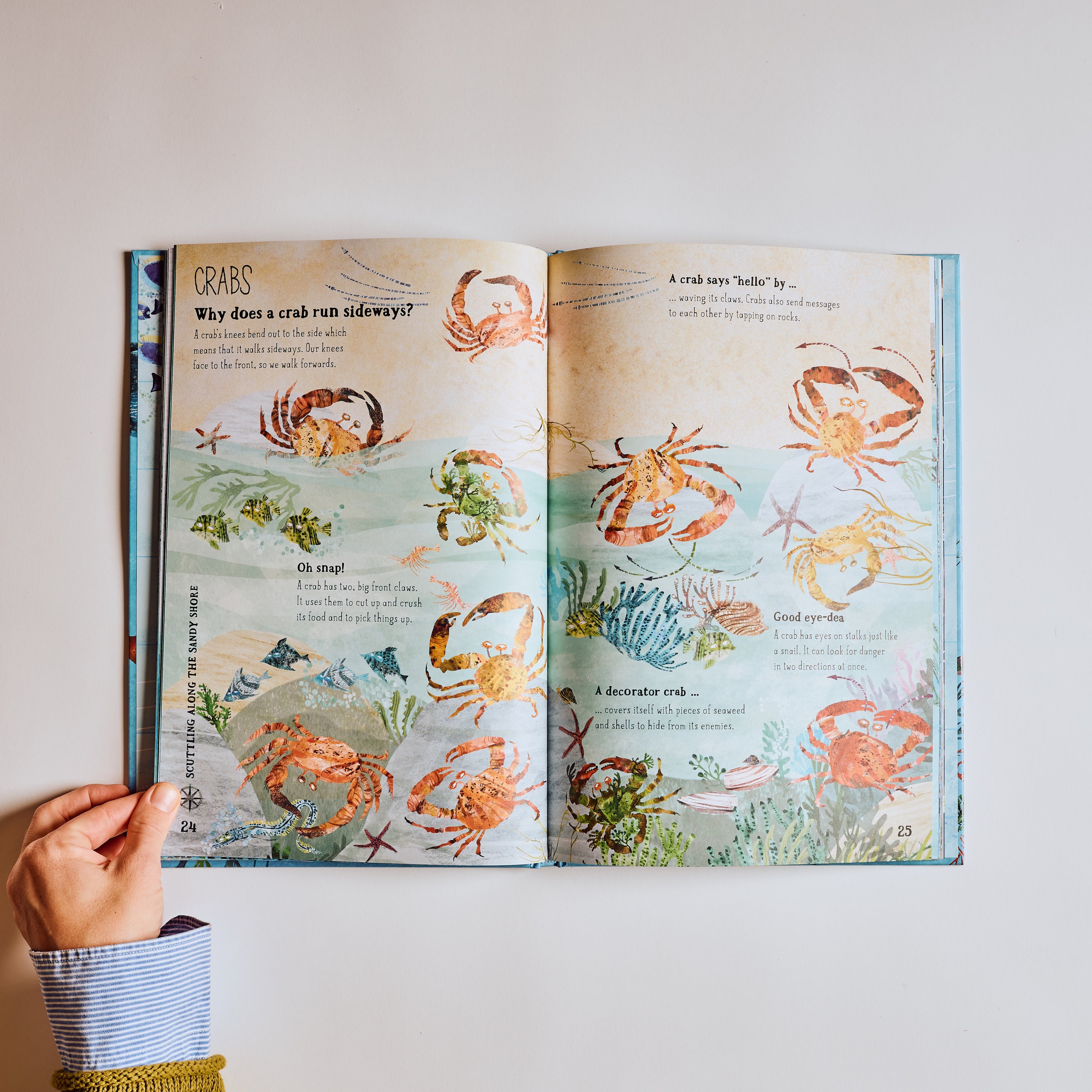 The Big Book of The Blue