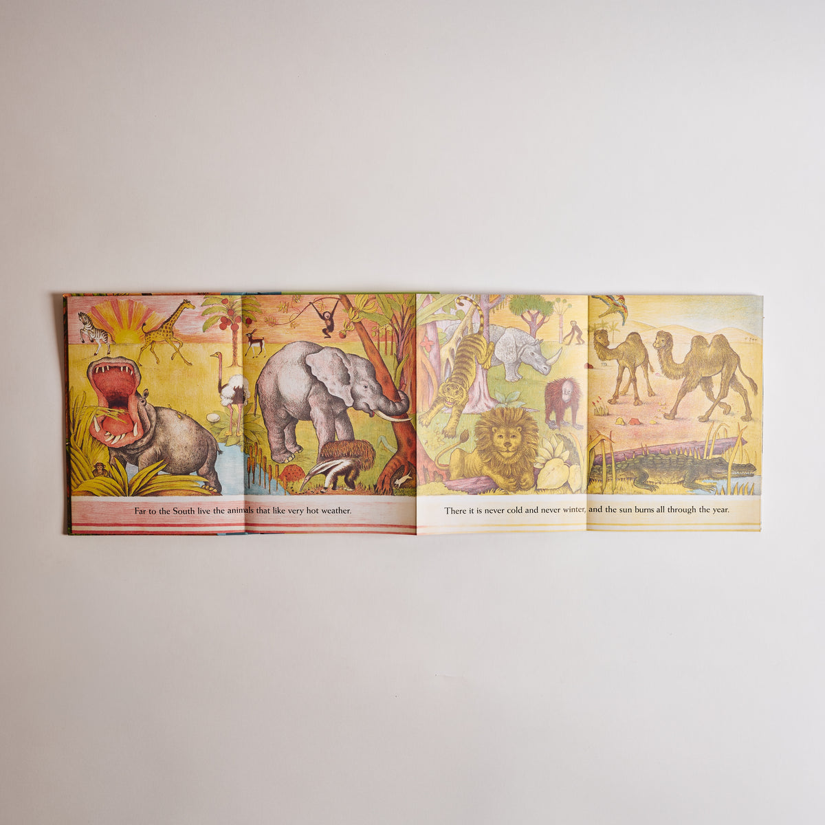 D'Aulaires' Book of Animals