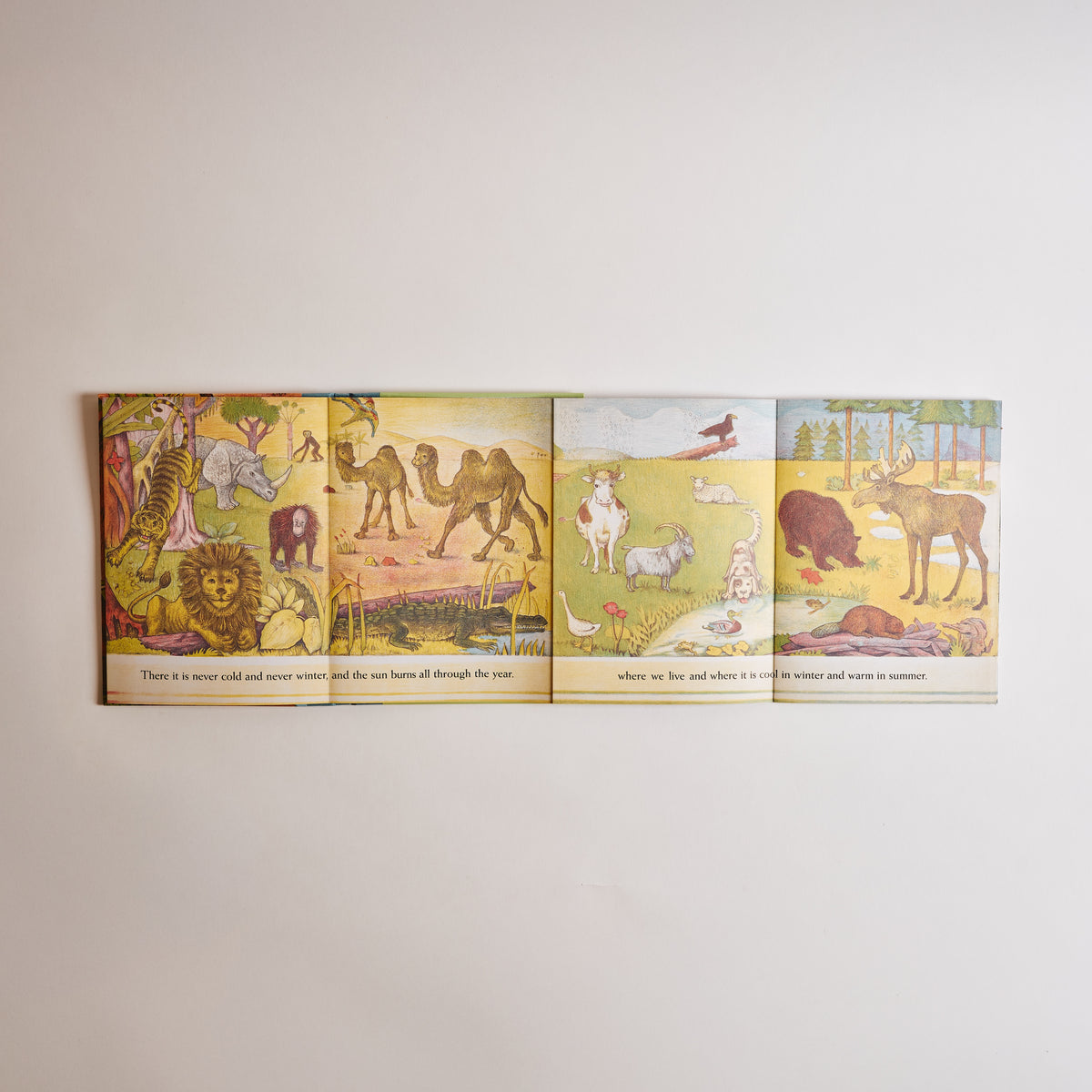 D'Aulaires' Book of Animals
