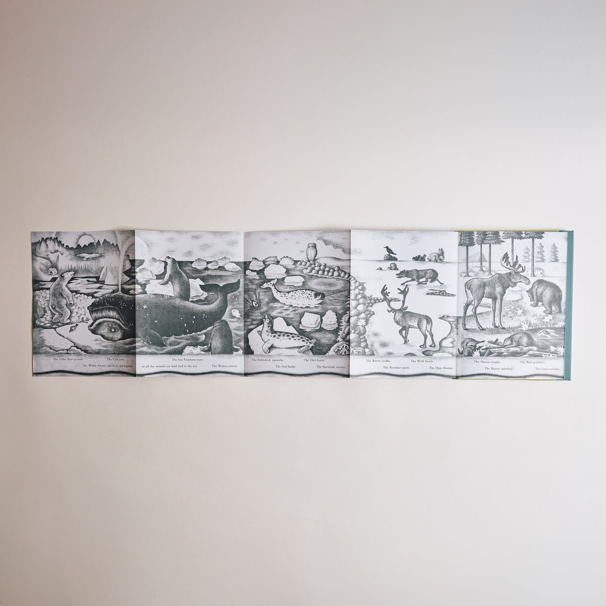 D'Aulaires' Book of Animals