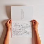 Dinosaurs Coloring Book