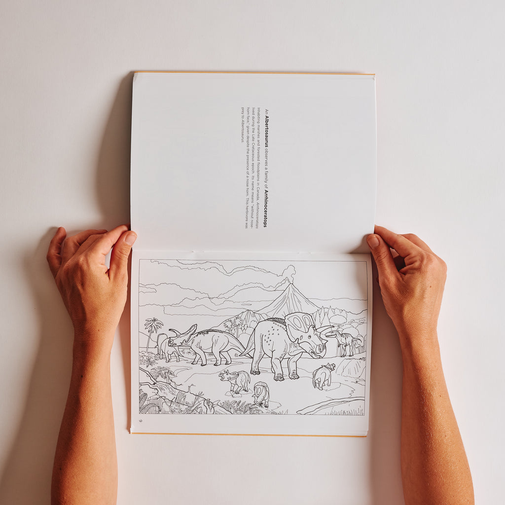 Dinosaurs Coloring Book