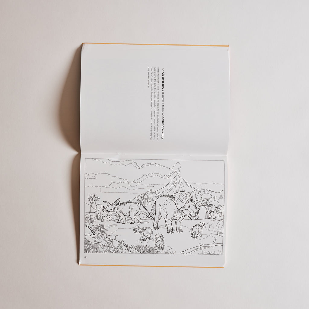 Dinosaurs Coloring Book