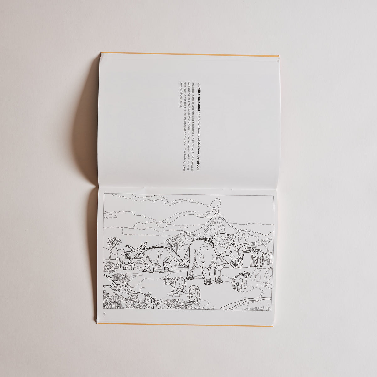 Dinosaurs Coloring Book
