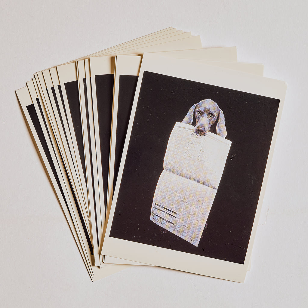 Newspaper Dog Post Card