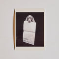 Newspaper Dog Post Card