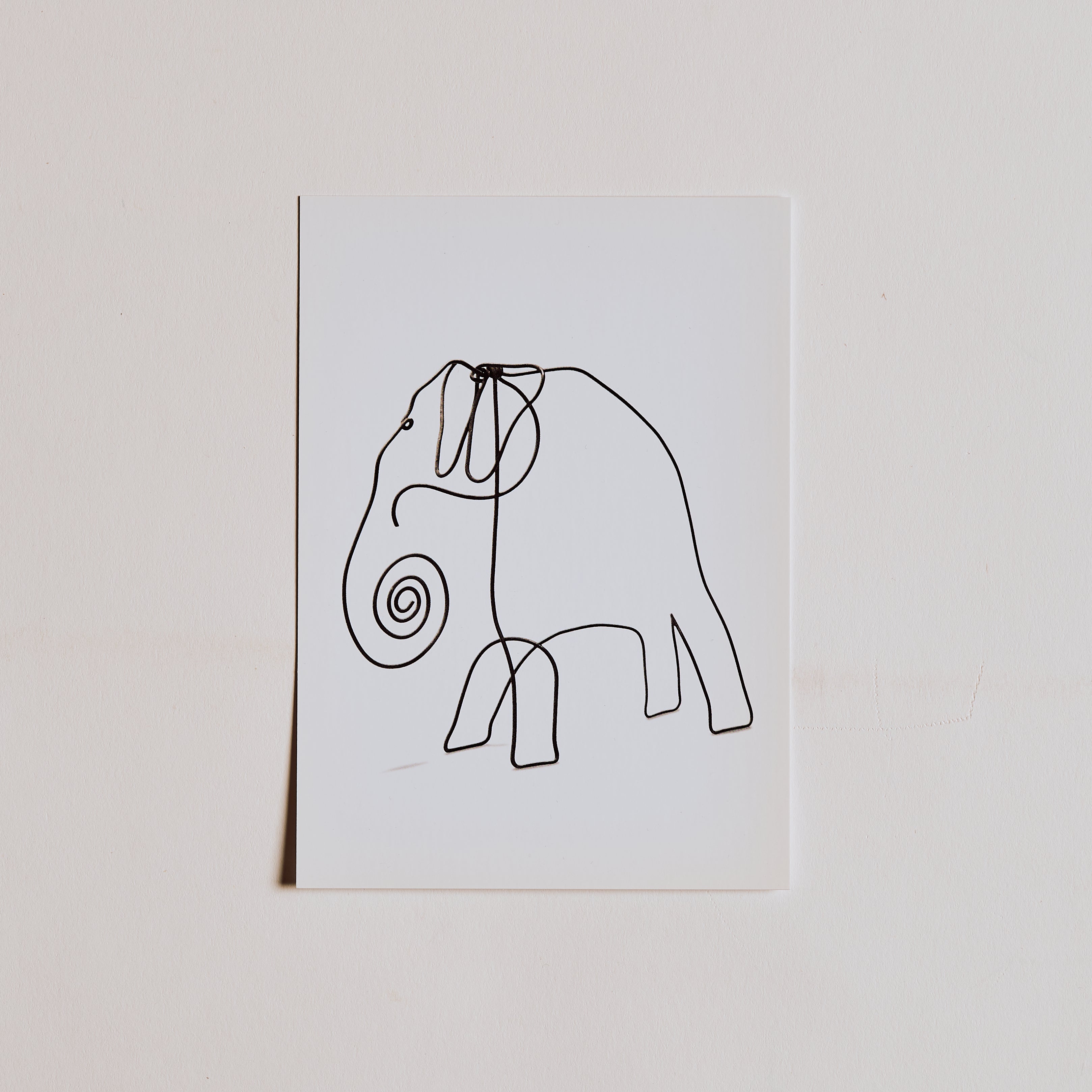 Elephant Post Card