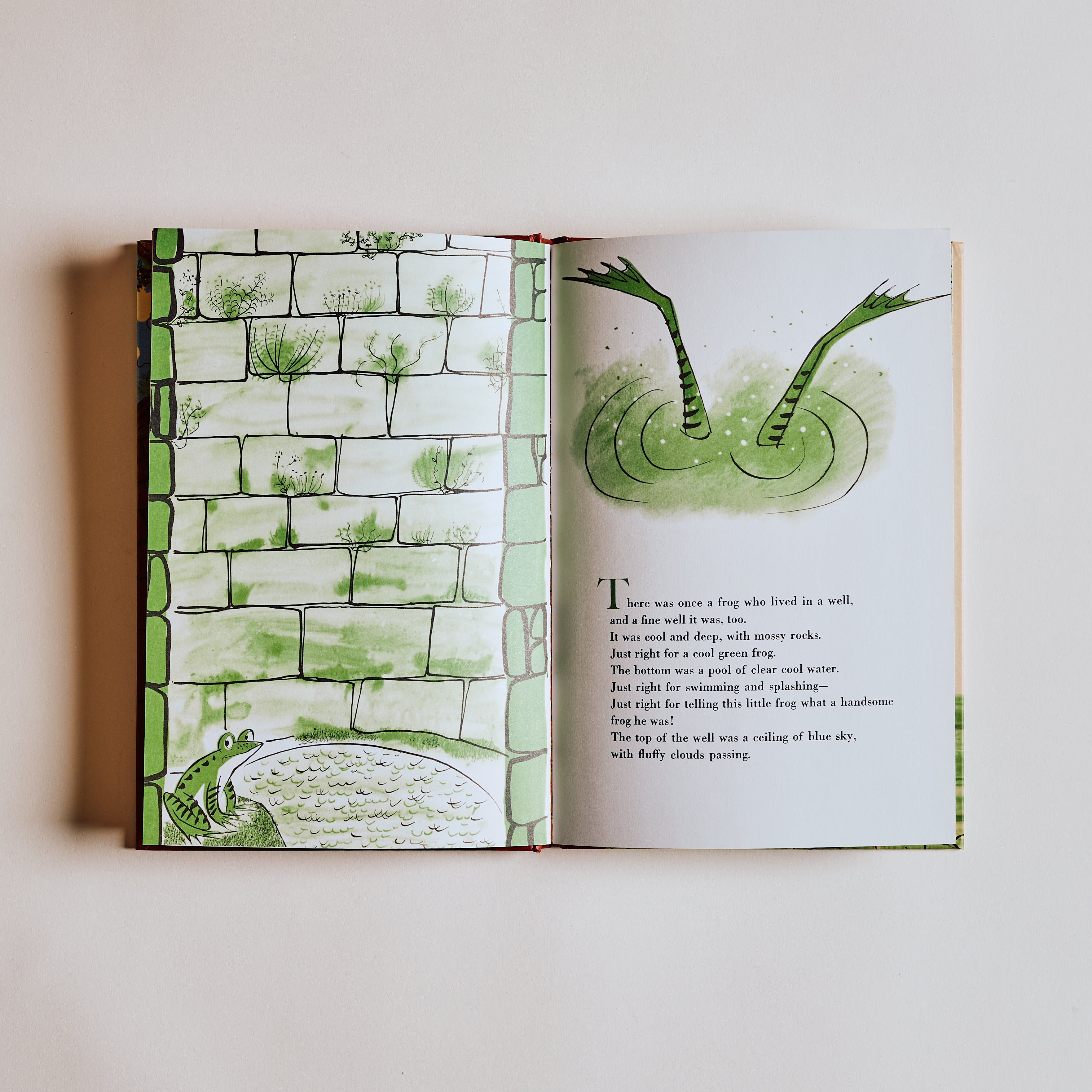 The Frog in the Well