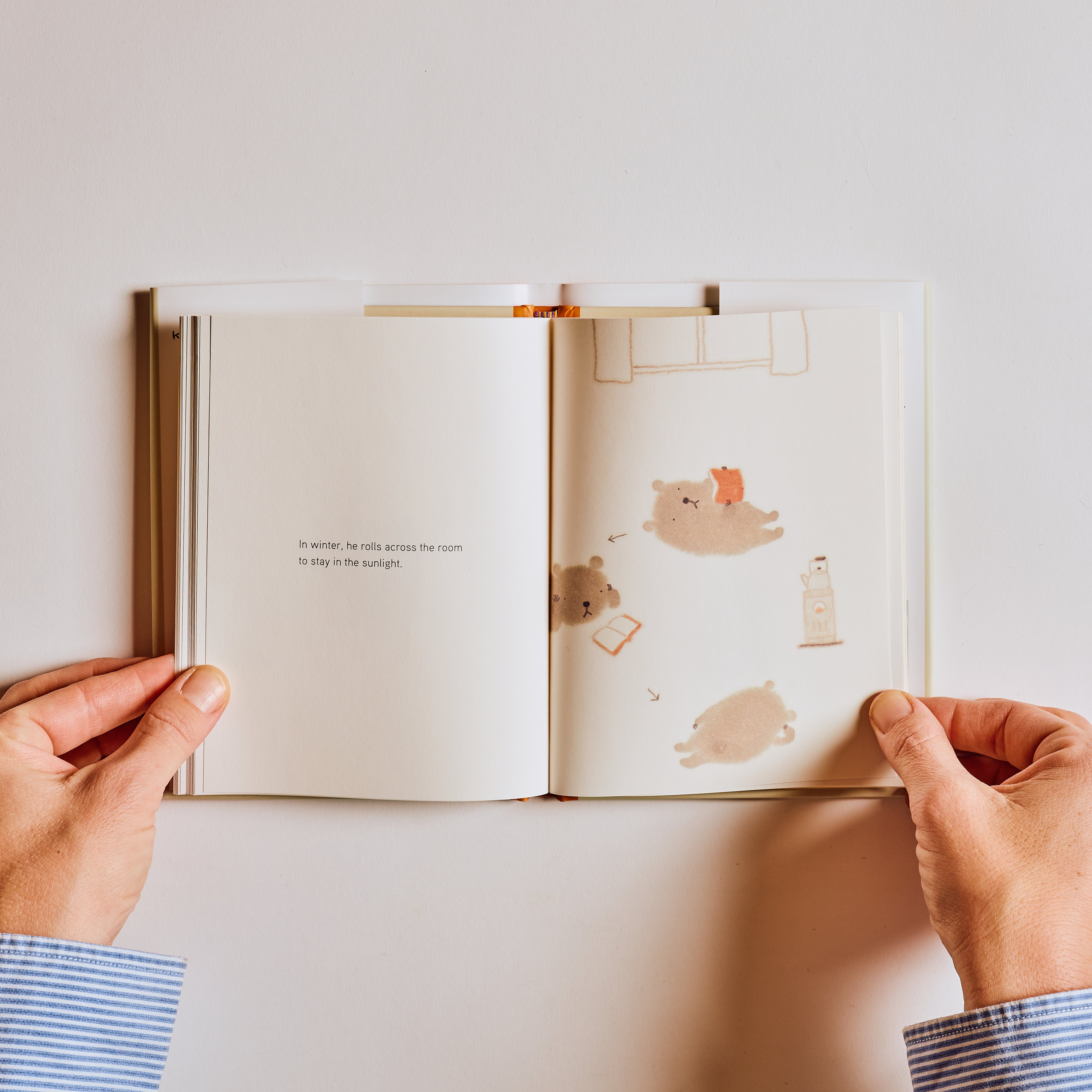 Kuma-Kuma Chan, the Little Bear