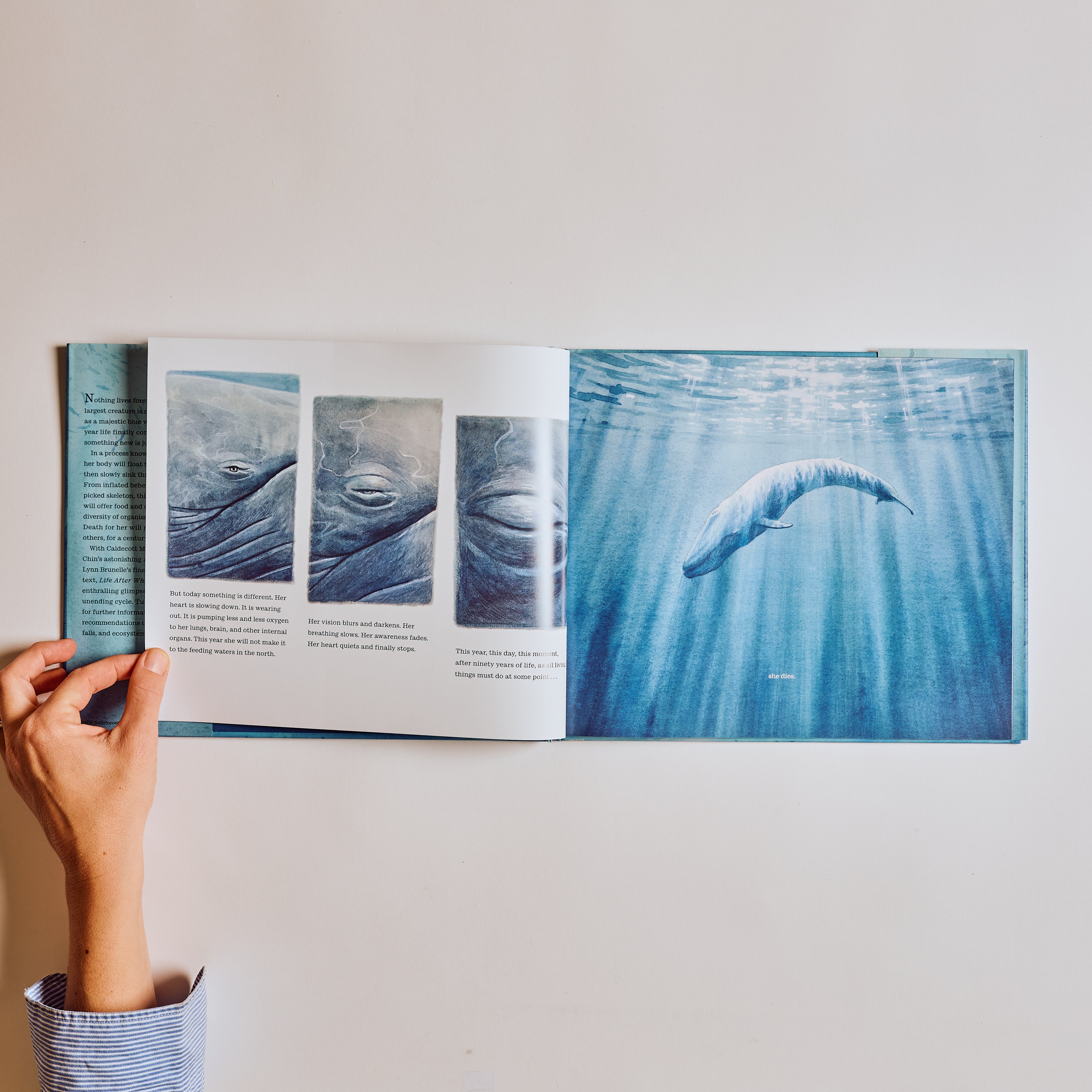 Life After Whale