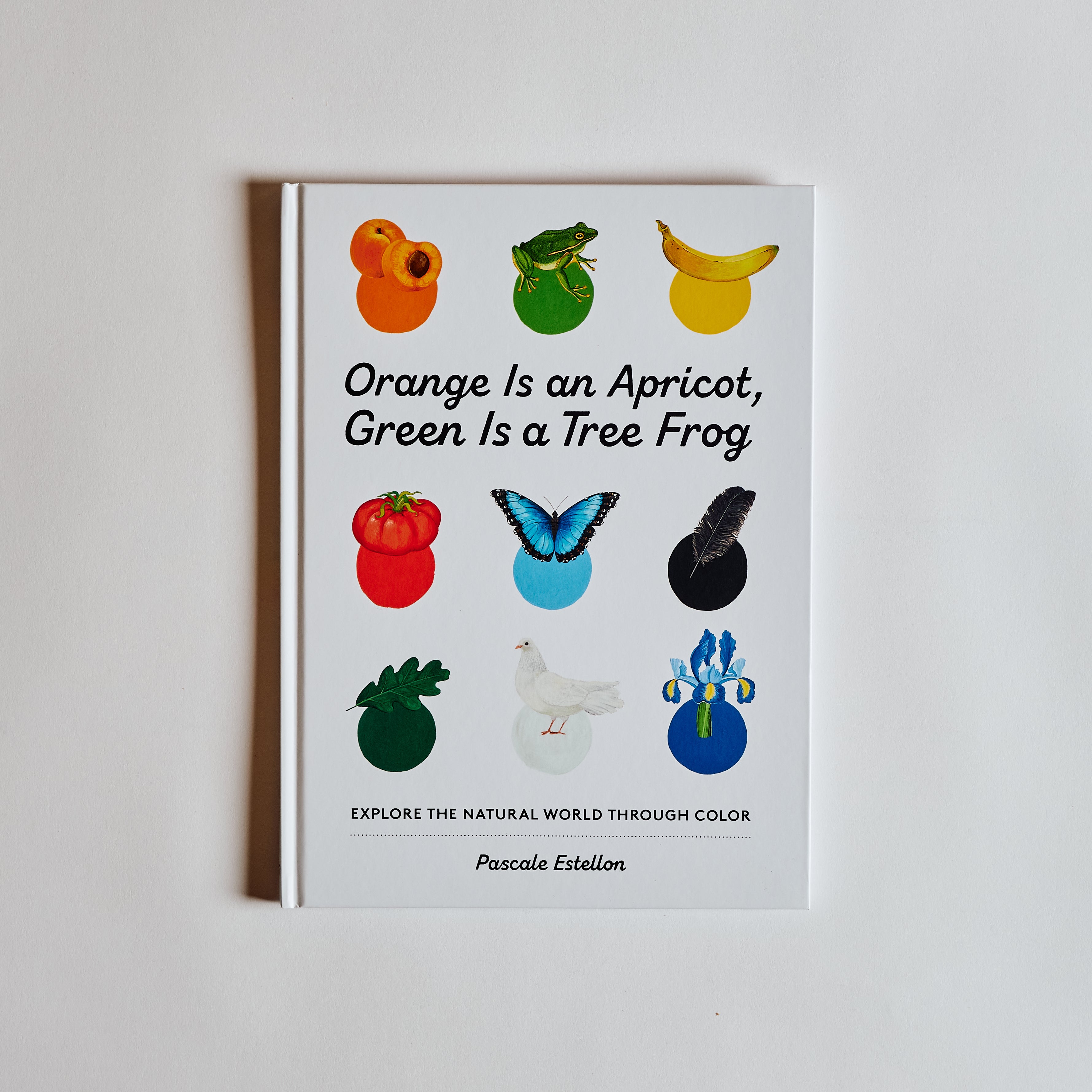 Orange is an Apricot, Green is a Tree Frog