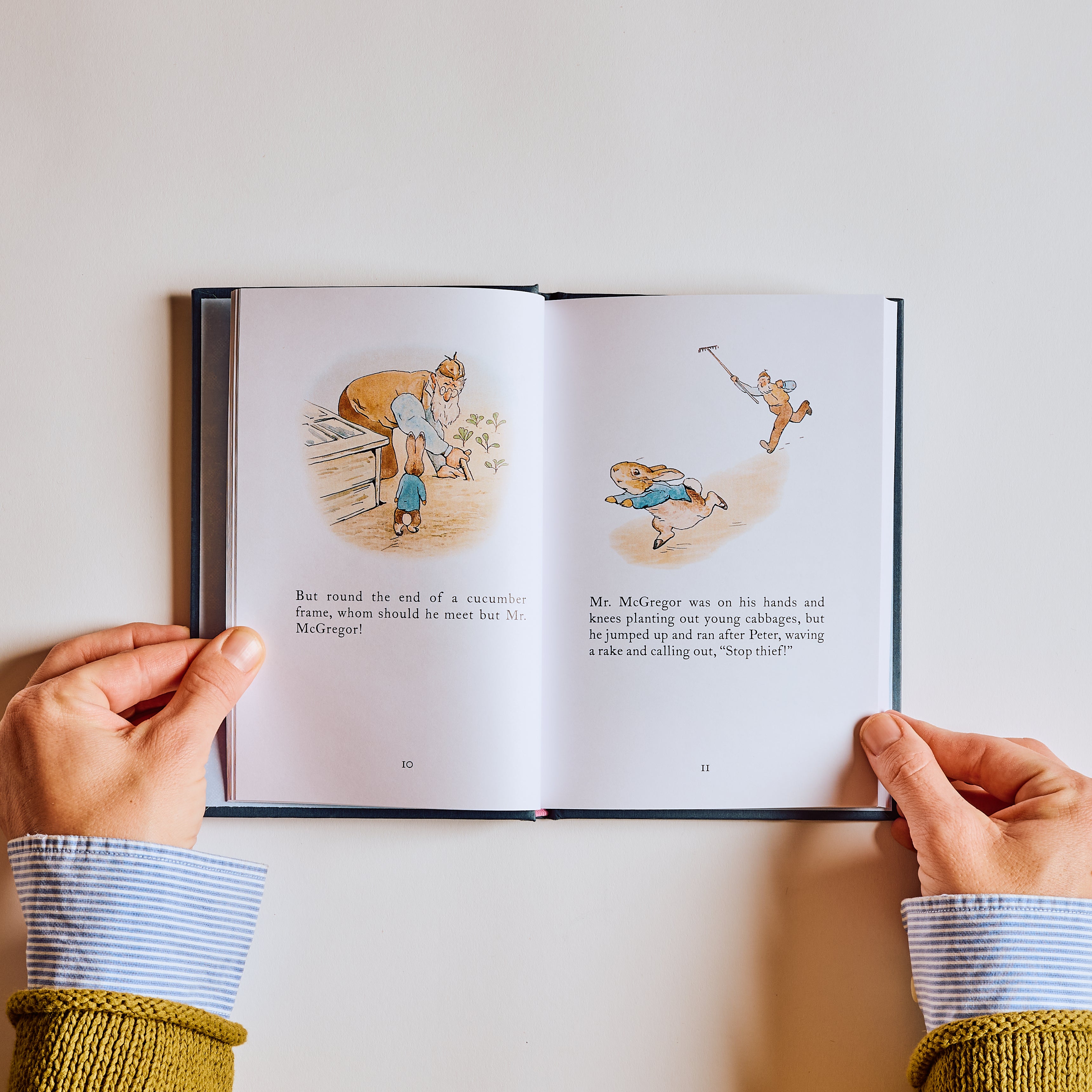 Peter Rabbit and Friends