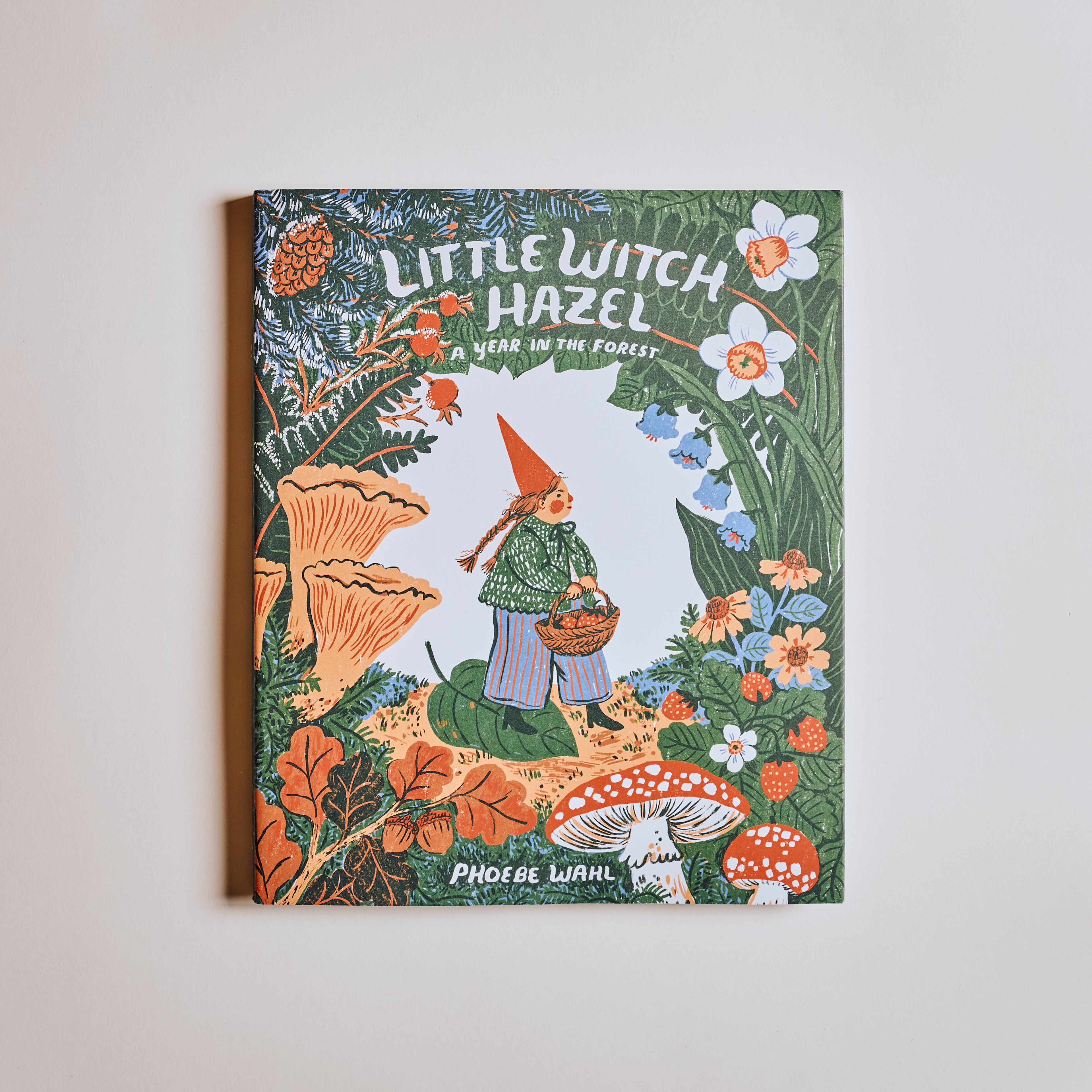 Little Witch Hazel