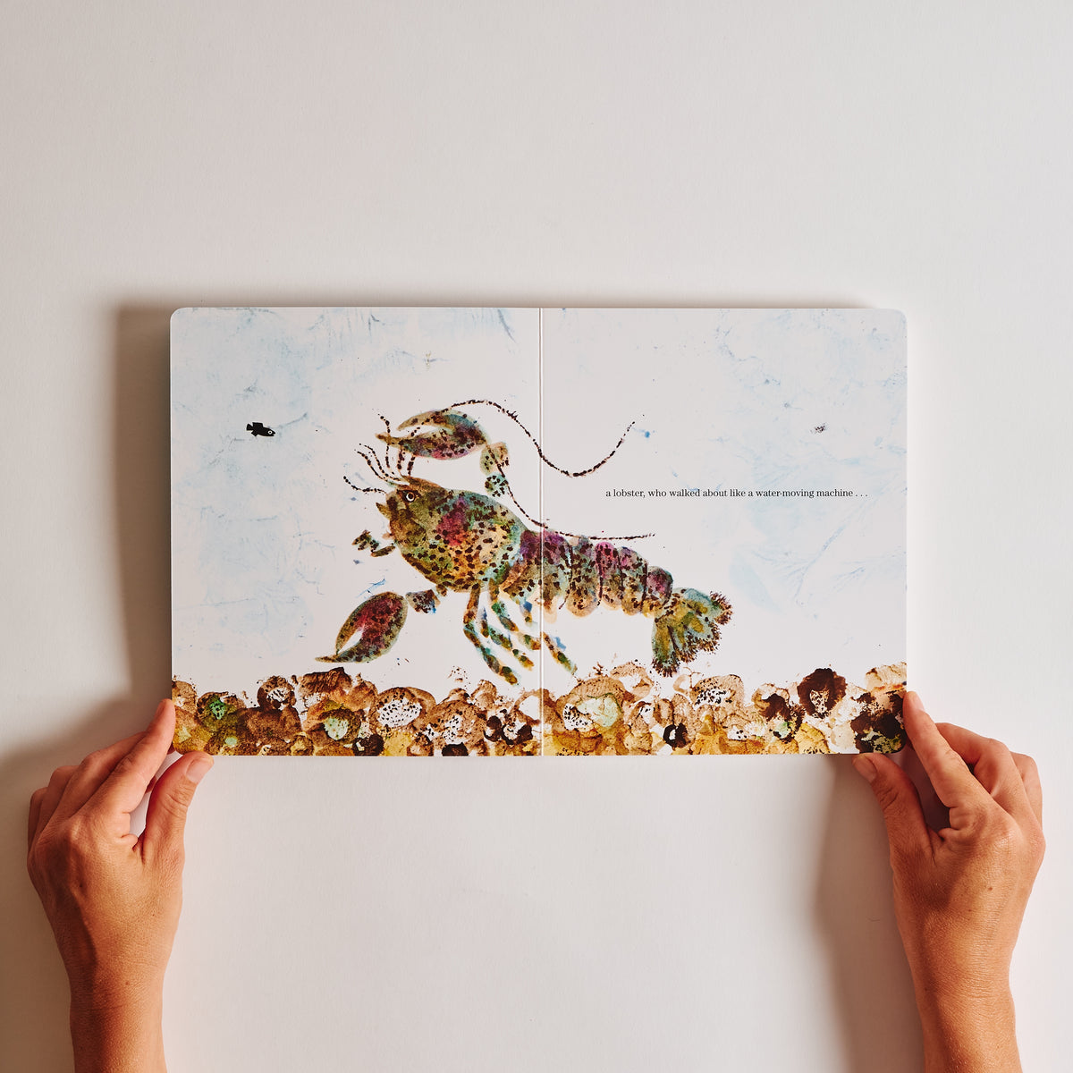 Swimmy (Board Book)