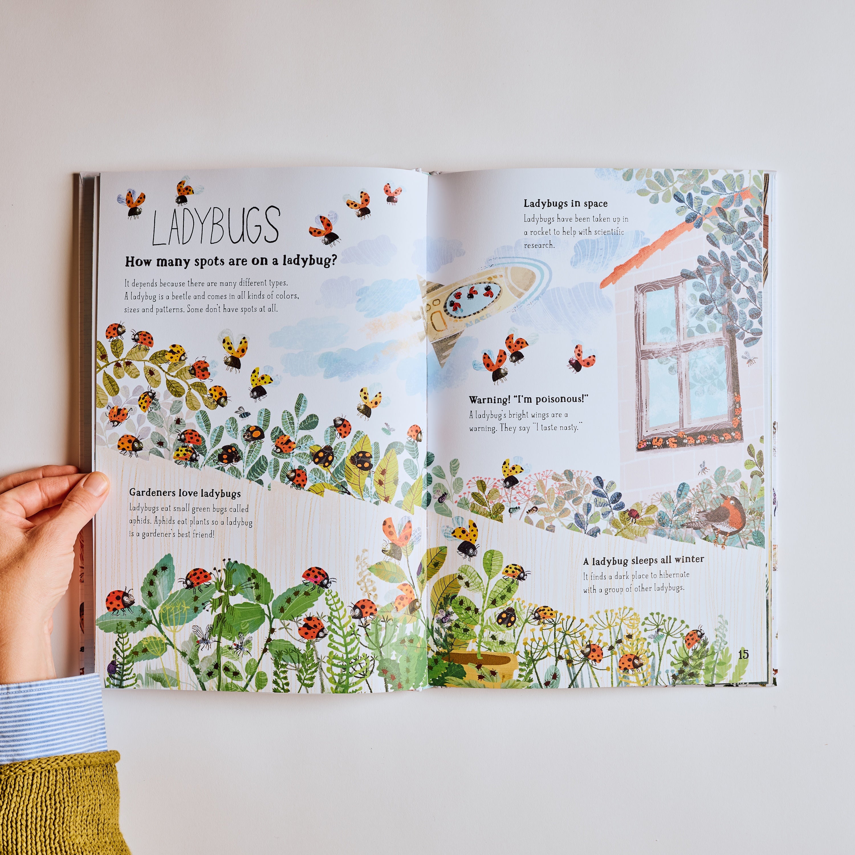 The Big Book of Bugs