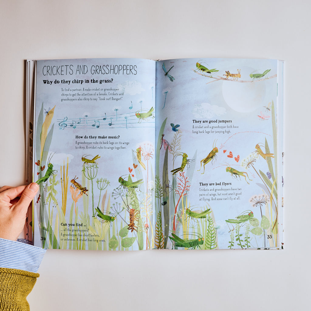 The Big Book of Bugs