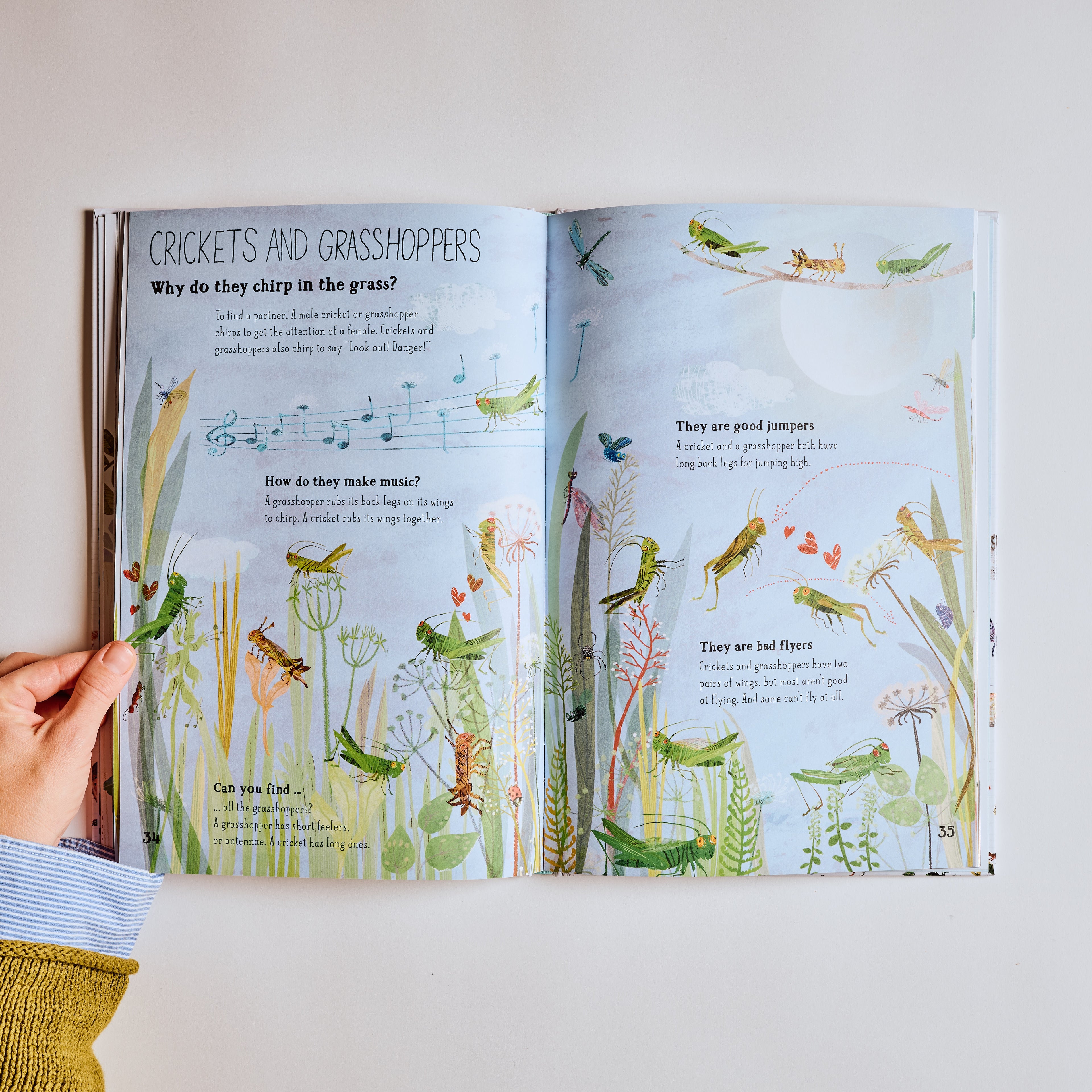 The Big Book of Bugs