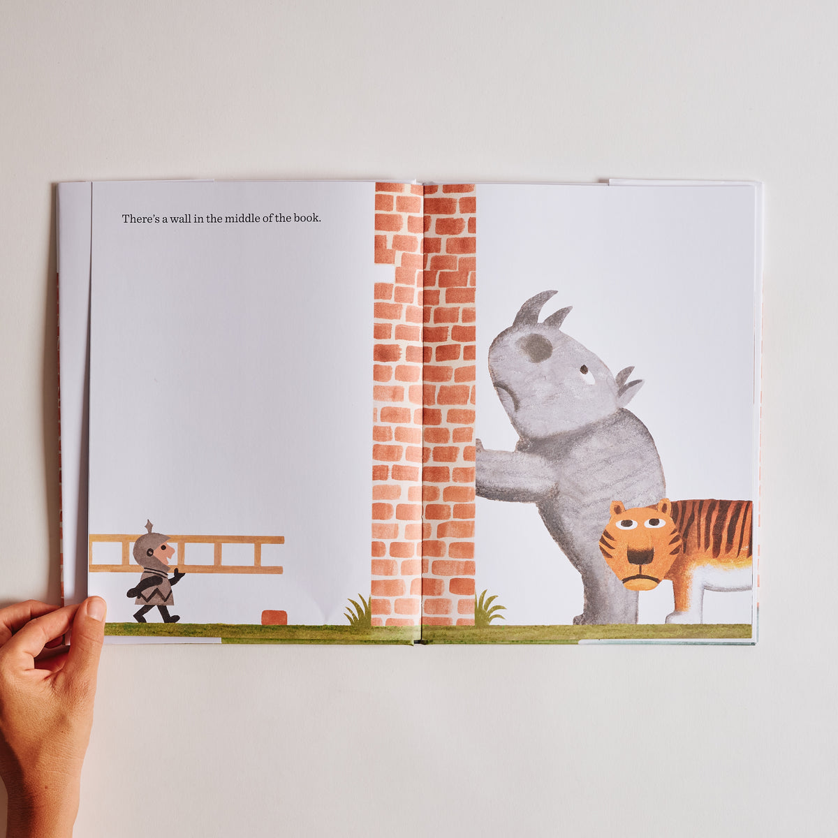 The Wall in the Middle of the Book