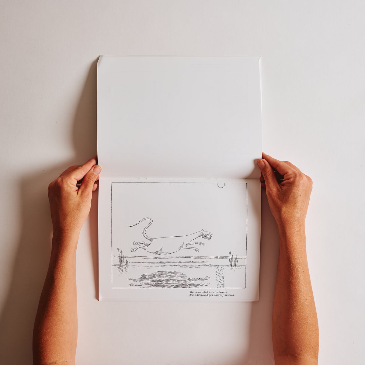 Edward Gorey Coloring Book