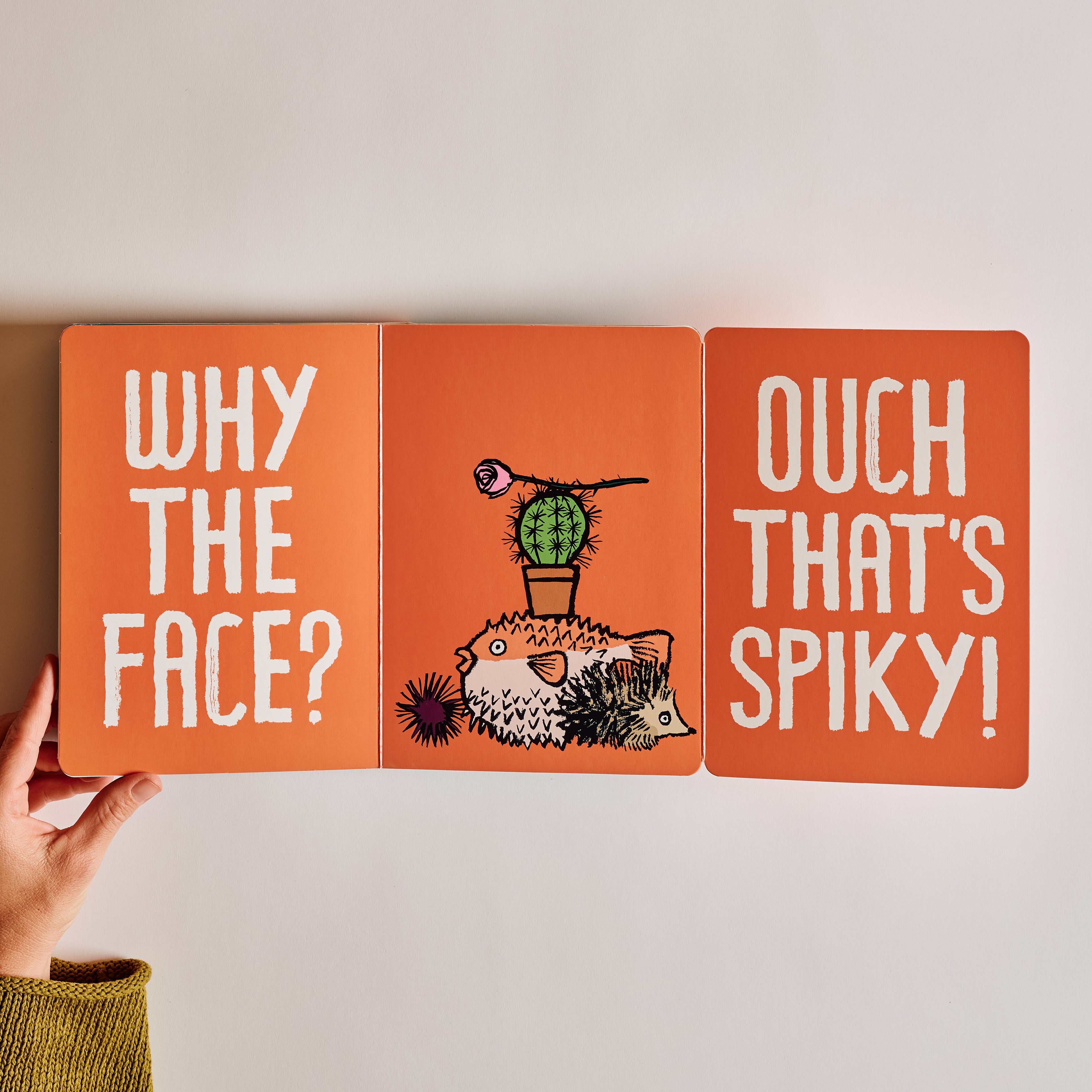 Why the Face?