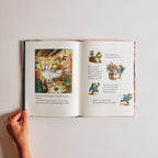 Truman Toad and the Quest for the Perfect Hug
