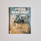 Polar Bear Cubs