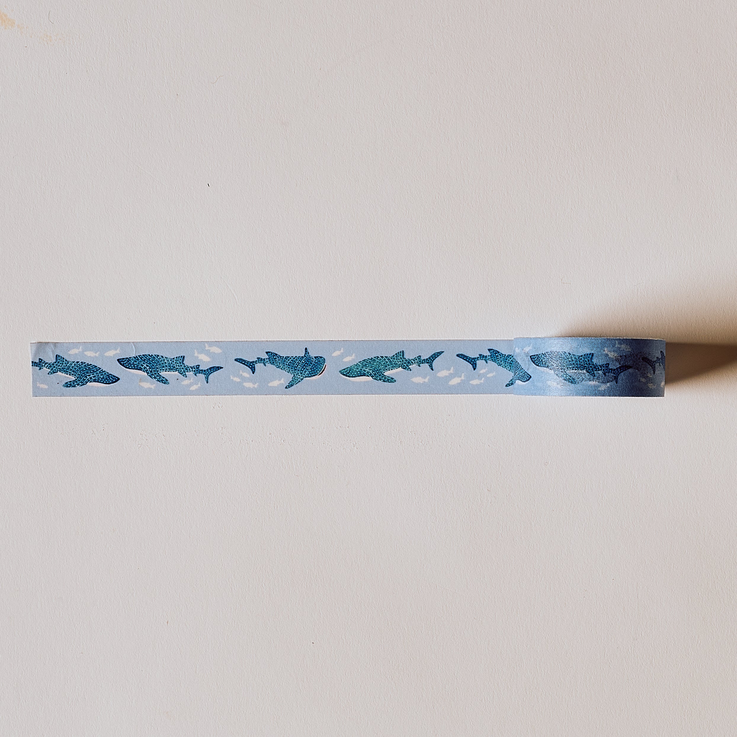 Whale Shark Tape