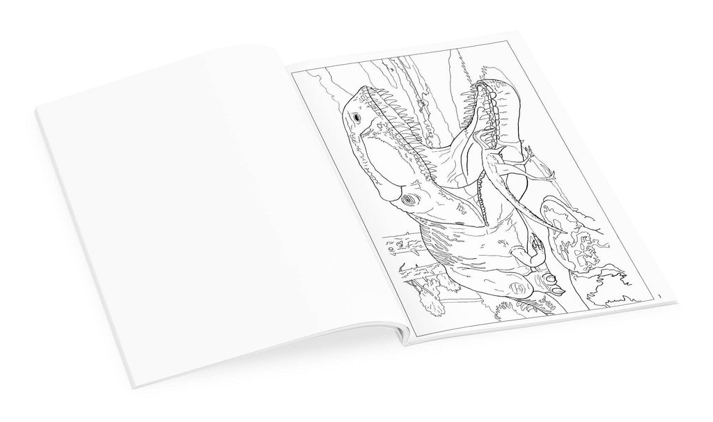 Dinosaurs Coloring Book