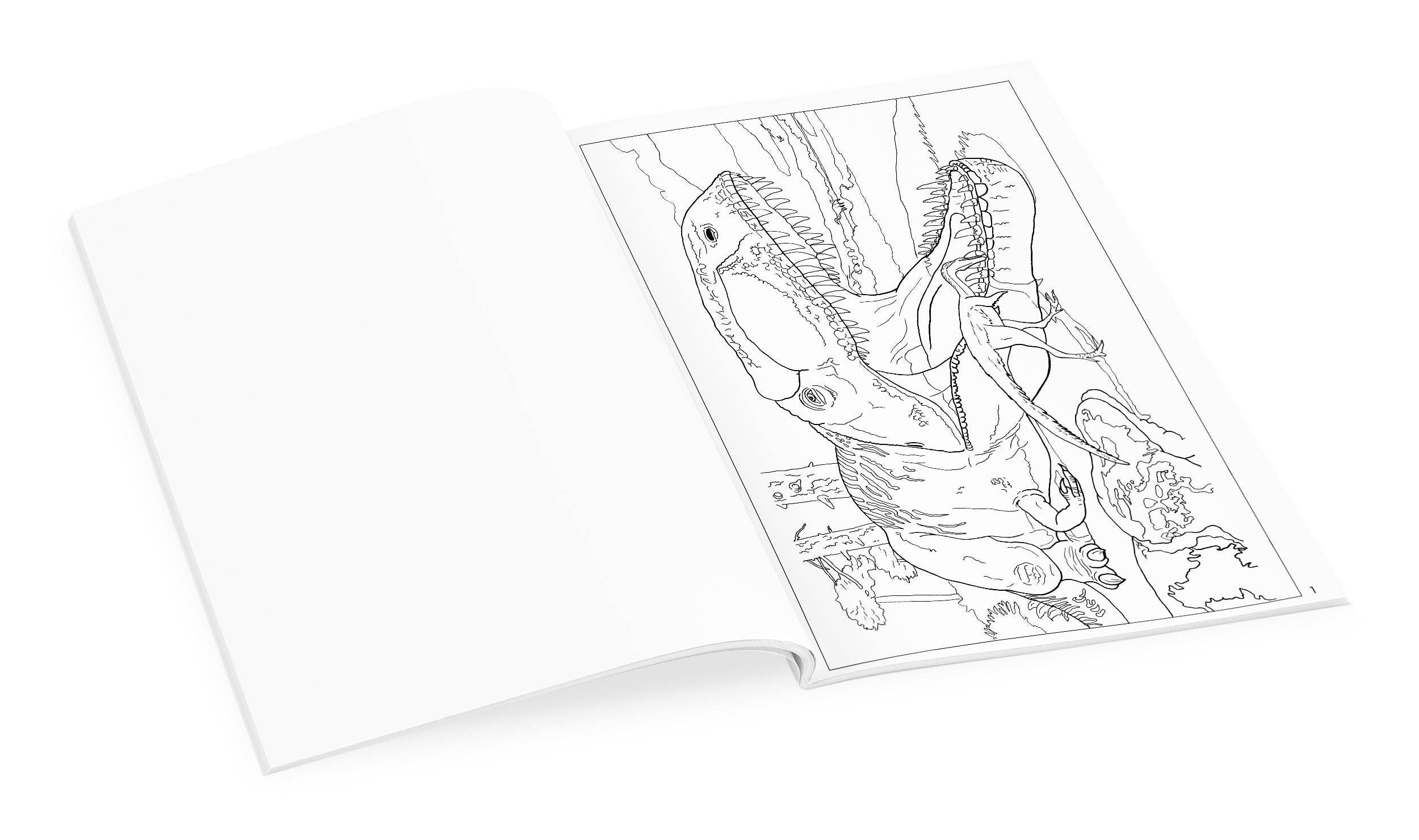 Dinosaurs Coloring Book